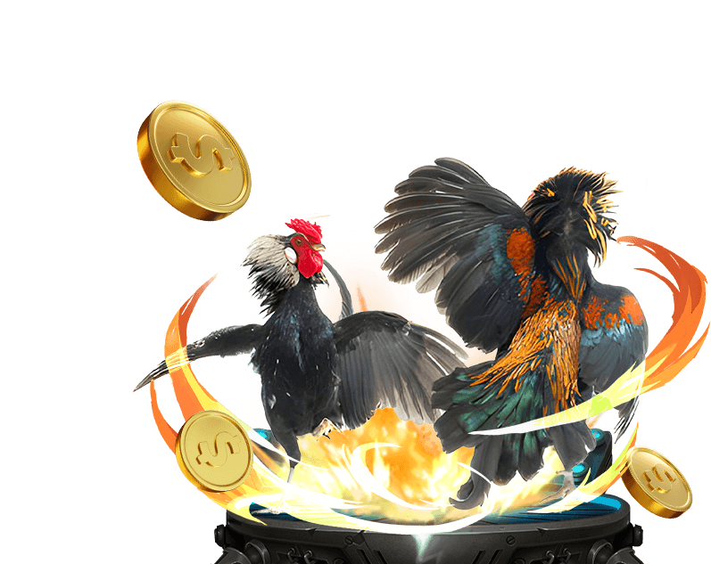 Trận đấu đá gà