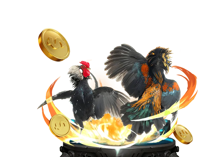 Hướng dẫn chơi đá gà trực tuyến Khin789